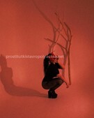 Анкета проститутки Лариса - метро Нагатино-Садовники, возраст - 19